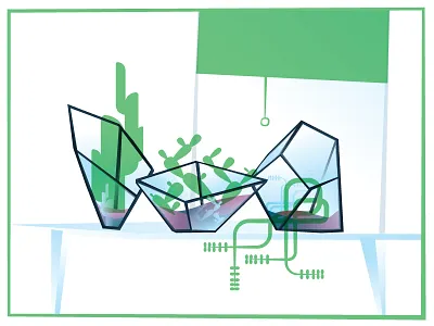 Succulent and Cacti Trio plants succulents terrarium window