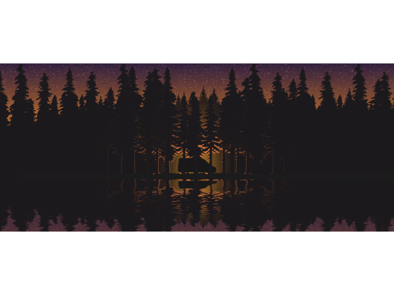 Van People Campfire animation campfire fire gif lake night pinetrees stars timelapse trees van vanlife