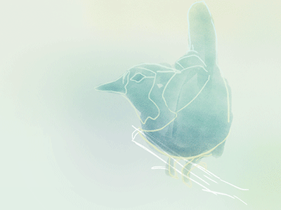 Jay animation blue cell jay photoshop rotoscope watercolor
