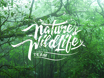 Nature Wildlife calligraphy design lettering logo logo design nature wildlife