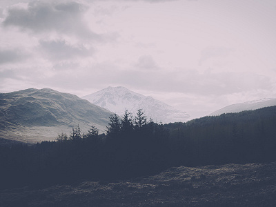 Dark Forest and Mountains (Vintage Edition) blog download filter image photo scotland stock vintage webdesign