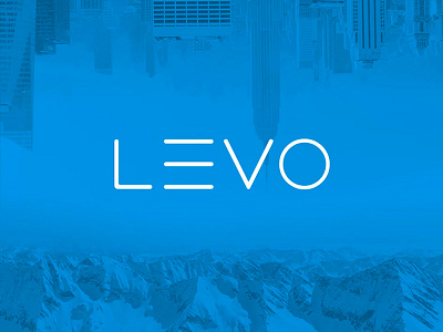 Levo branding concept graphic design product