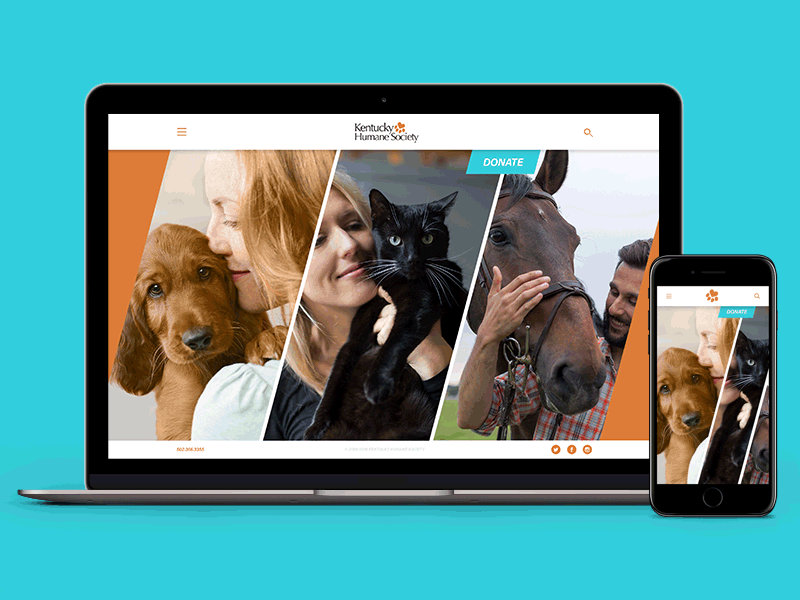 Kentucky Humane Society Website animal cats dog horses humane kentucky louisville mobile shelter society web website