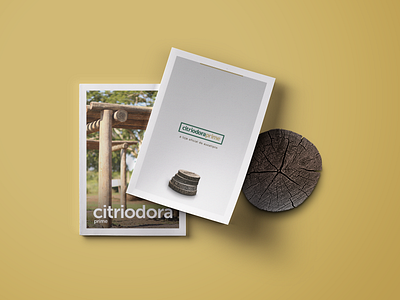 Citriodora Magazine citriodora eucalypt gênia magazine wood