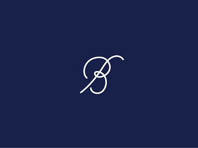 B branding brandmark custom letter dropcap letter b letterform logo symbol