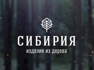 Siberia logo forest logo siberia tree wood