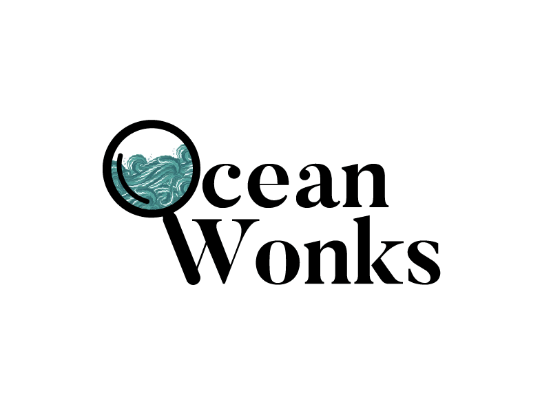Logo Play: Ocean Wonks blue green logo magnifying glass ocean waves yellow
