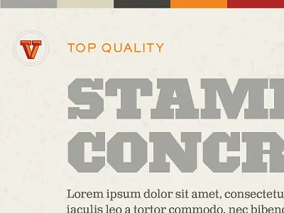 Vista Hierarchy explorations brand hierarchy icon identity logo type typeface typography