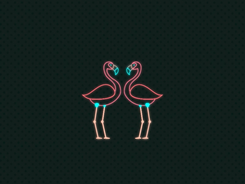 Flamingo´s love aftereffects illustrator love neon