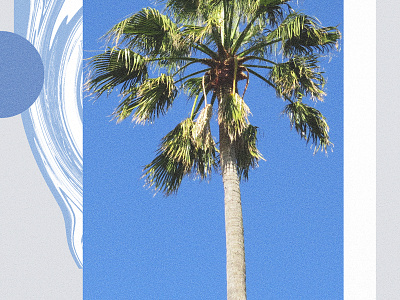 verão