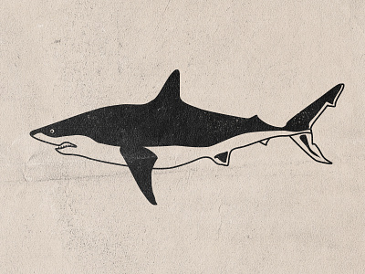 Shark animal blackwork jaws ocean sea shark shark attack shark week vector