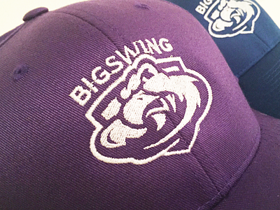 Big Swing disc golf cap design disc golf falcon frisbee illustrator logo mockup
