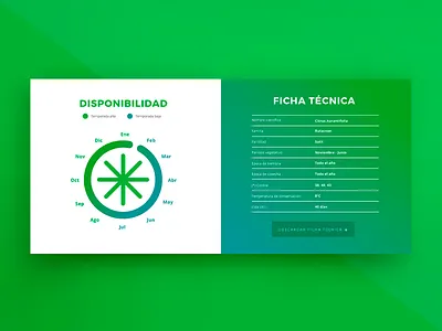 Technical sheet and availability design first shot peru ui ux web design