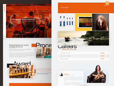 Landing Page agency award color digital landing logo page responsive