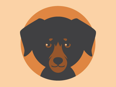 Puppy animal animals cute dog doggy illustration puppy rottweiler