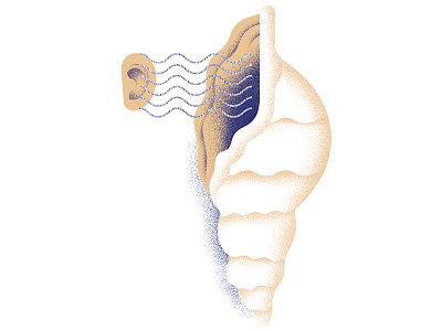"THE MUSEUM OF THOUGHT" — Cowrie Hat cowrie ear hat hear illustration seashell shell sound thought waves