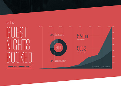 Air BNB Data Viz data visualization icon illustration infographic typography