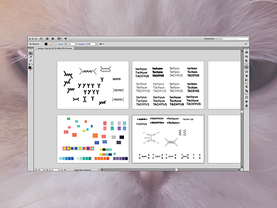 when a startup survives the first 3 years... branding identity logo rebranding wip