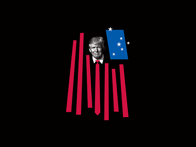 America in the Age of Trump flag trump