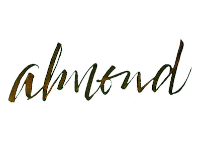 Almond brushlettering calligraphy lettering modern calligraphy modern script pen brush