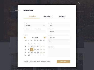 Lesni Hotel - Reservation Form calendar contrast form hotel light modal popup reservation ui