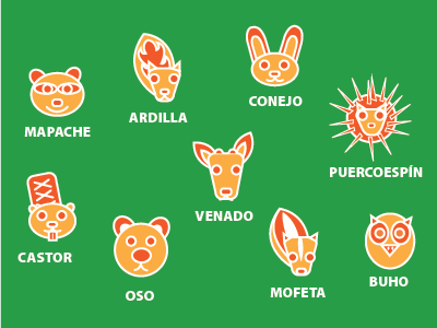 Animalhive - El Bosque animal children colorful cute flatcolor illustration kids