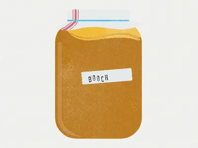 Kombucha brew bubbles ferment illustration jar kombucha