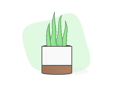 Planter illustration plant