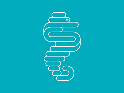 Sensorio illustration seahorse