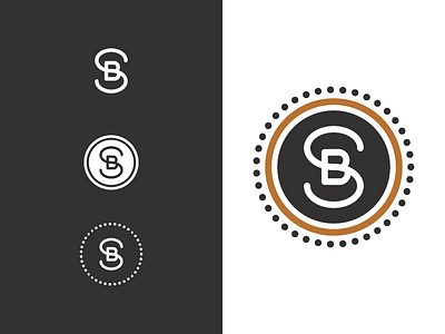 BS b bs circle logo s sb vector