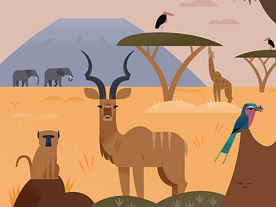 Savanna Animals africa african animals animals design illustration nature safari travel travel illustration wildlife