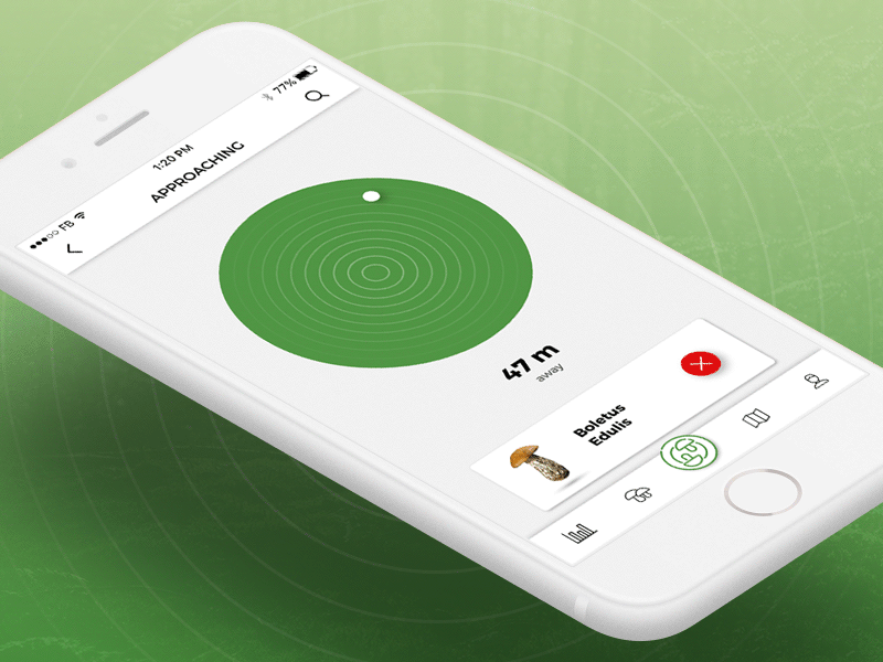 CAP&STALK - compass animation animation app bolete compass find ios mushroom recognize search sketch watch