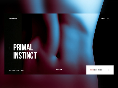 Primal Instinct animation concept erotic fashion girl interactive photograph ukraine webdesign website