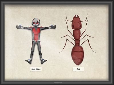 Ant Man ant ant man bugs display insects marvel movies superheroes