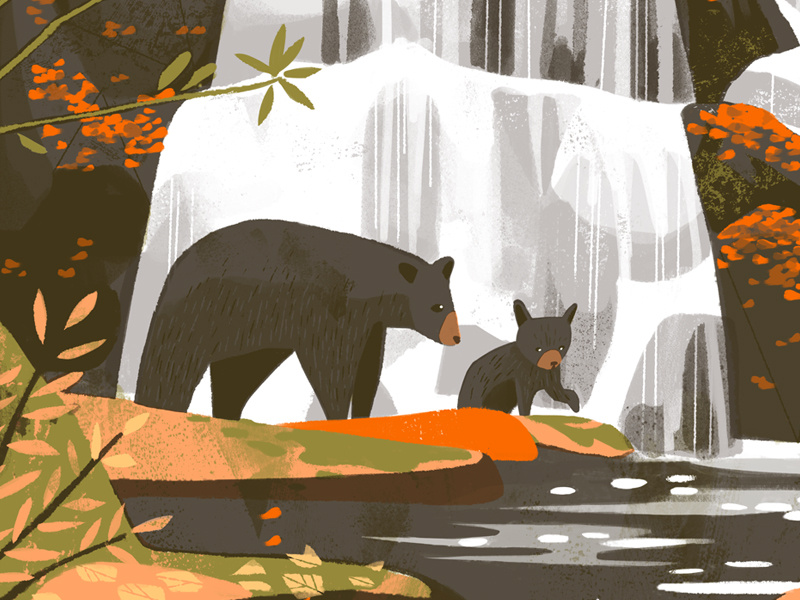 Great Smoky Mountains National Park (Detail)