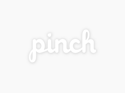 Pinch logotype brand brand identity branding hand lettering logo logotype startup typography