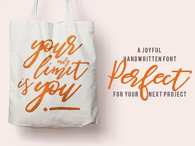 Be Perky! Handwritten Font branding calligraphy elegant fashion girly lettering logo modern pretty script style wedding