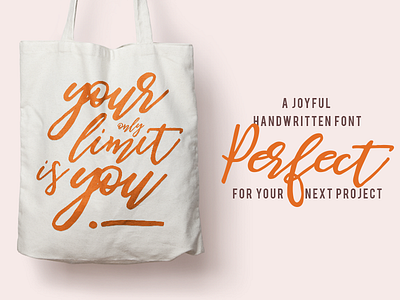Be Perky! Handwritten Font branding calligraphy elegant fashion girly lettering logo modern pretty script style wedding