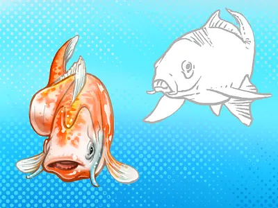 Koi fish animal fish illustration koi orange water
