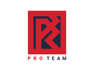 ProTeam Logo identity logo logotype proteam