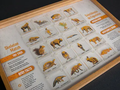 Skeleton Match Puzzle anatomy animals comparative anatomy illustration science skeleton