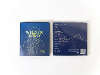 Wilder Mind mumford and sons packaging