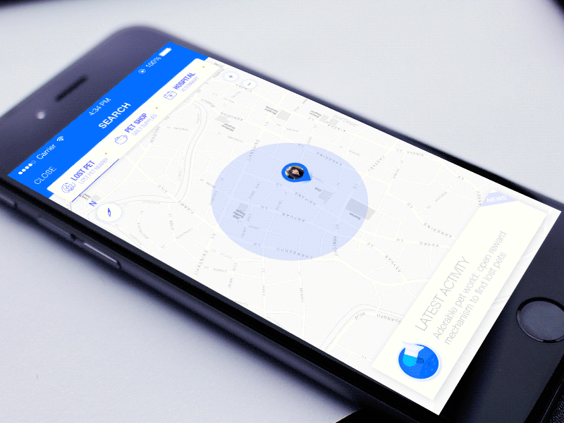 Finding a Lost Pet animation card list material mobile motion pet radar search ui ux window