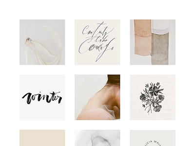 Doux et Fort Mood Board blush creams elegant illustration mood board script simple
