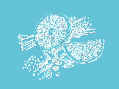Ingredients crosshatch fruit handdrawn illustration ingredients
