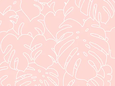 Monstera drawing handdrawn illustration leaves monstera