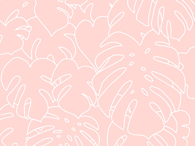 Monstera drawing handdrawn illustration leaves monstera