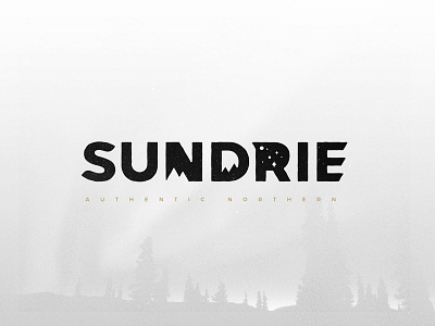 Northern wordmark custom typography logo logomark logotype negative space north northern typography wordmark
