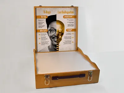 X-Ray Light Box anatomy backbone biology education exhibit museum science skeleton