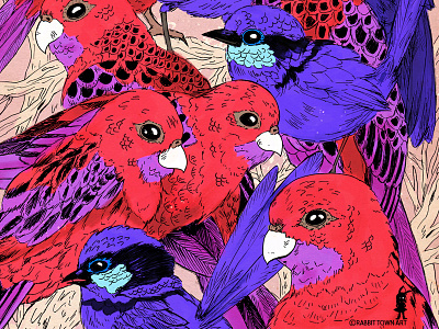 Wrens and Rosellas Delight birds blue design illustration marta tesoro rabbittownart red redbubble rosella wren